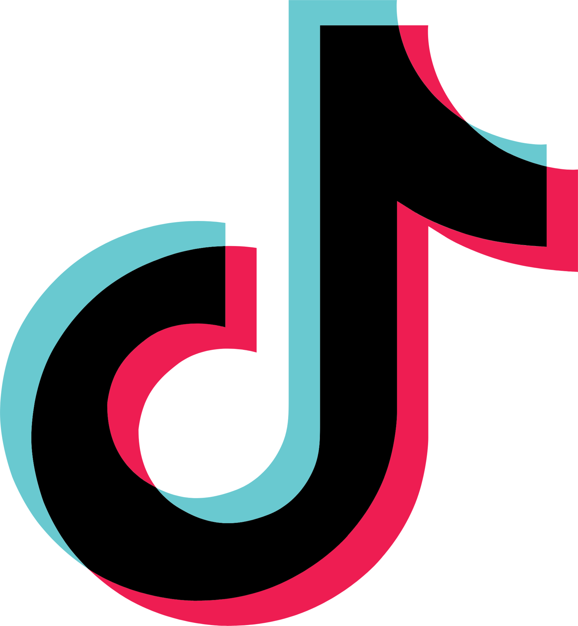 TikTok Icon
